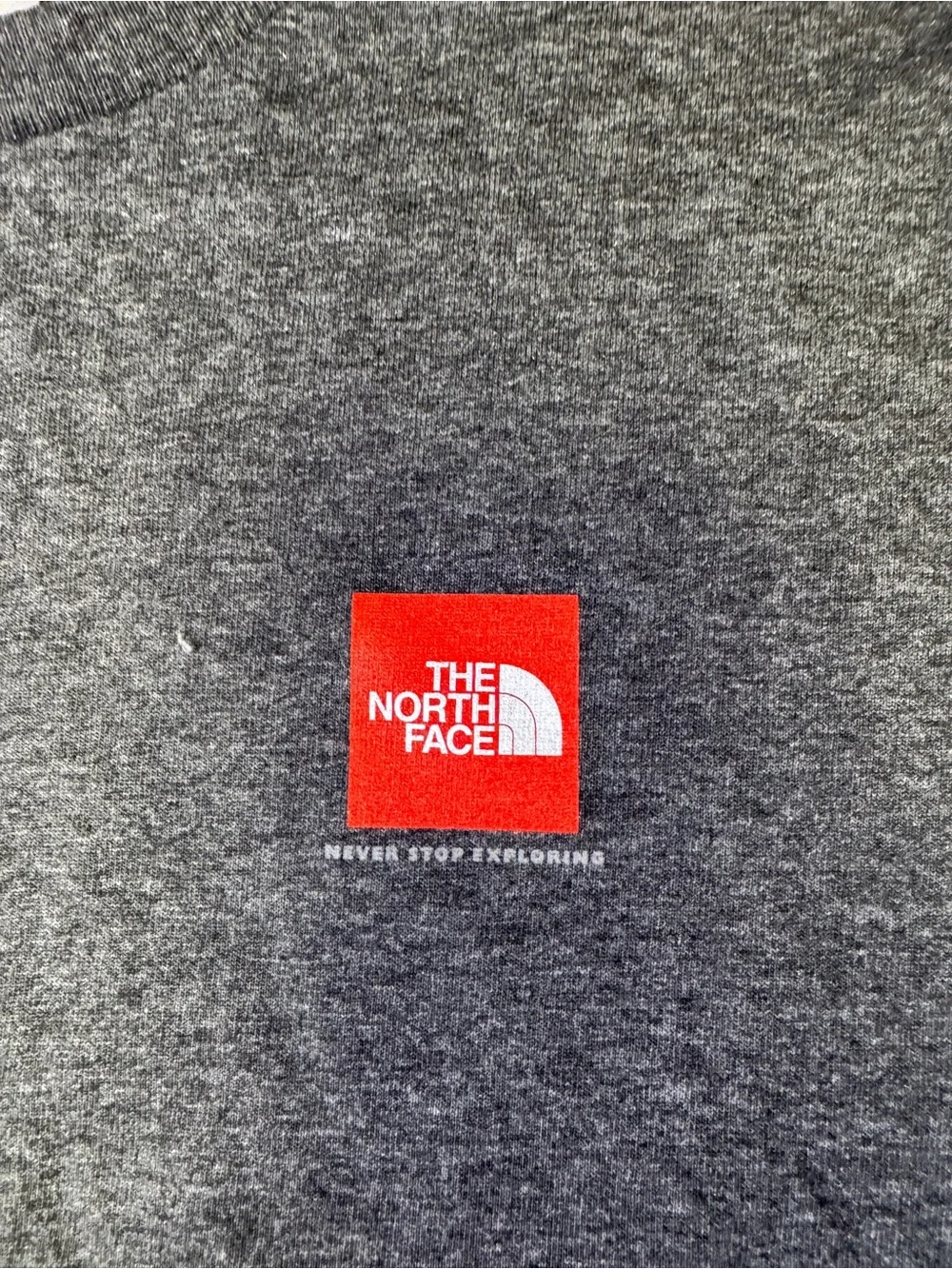 The North Face Charcoal Short-Sleeve Tee with Red Logo Patch